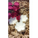 White Daisy Flower Soap